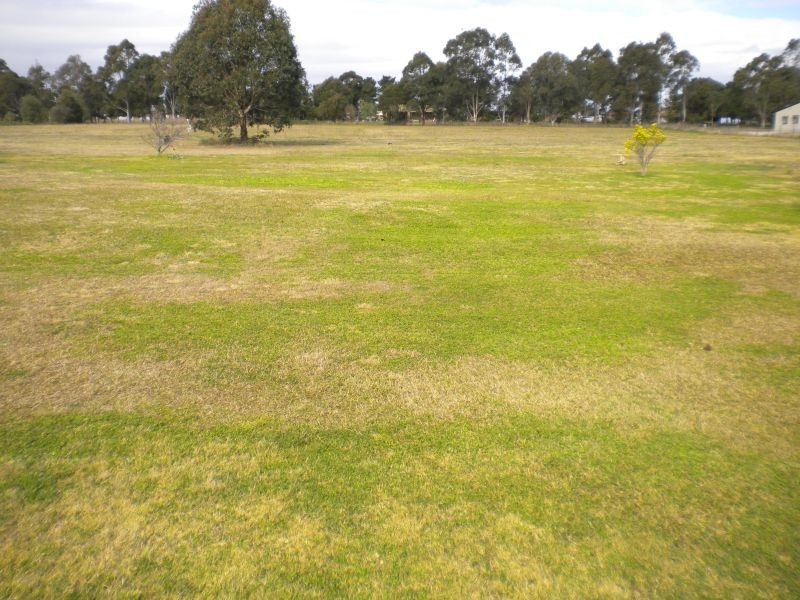 4b Medich Street, Bringelly NSW 2556