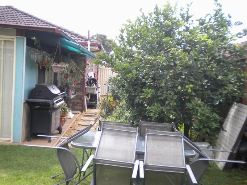 Narellan Vale NSW 2567