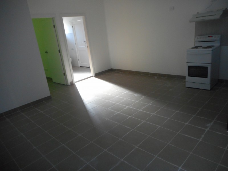 49a Atkinson St, Liverpool NSW 2170