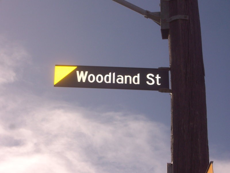 REAR/13 Woodland Street, Strathmore VIC 3041