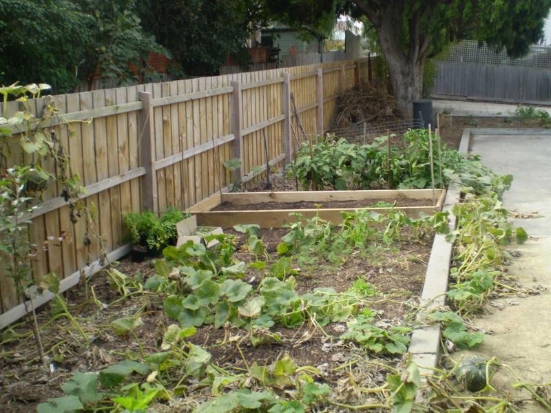 10/44 Passfield Street, Brunswick VIC 3056