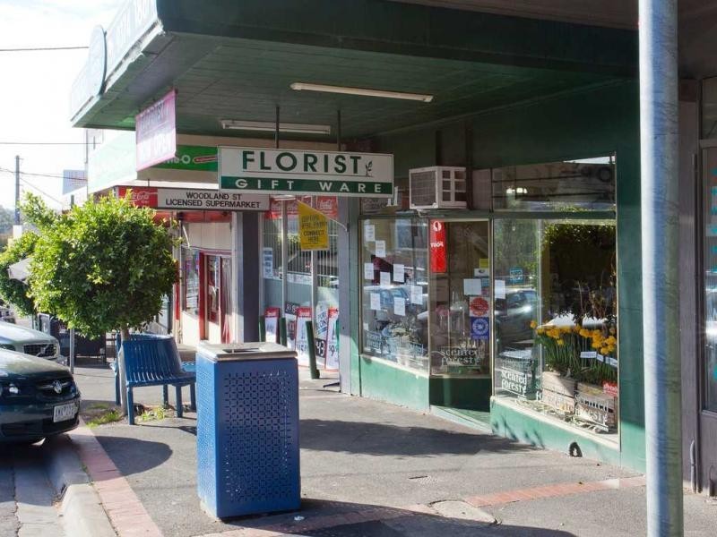 15 Talbot Road, Strathmore VIC 3041