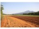 Lot 1 Dalton Road, Aloomba QLD 4871