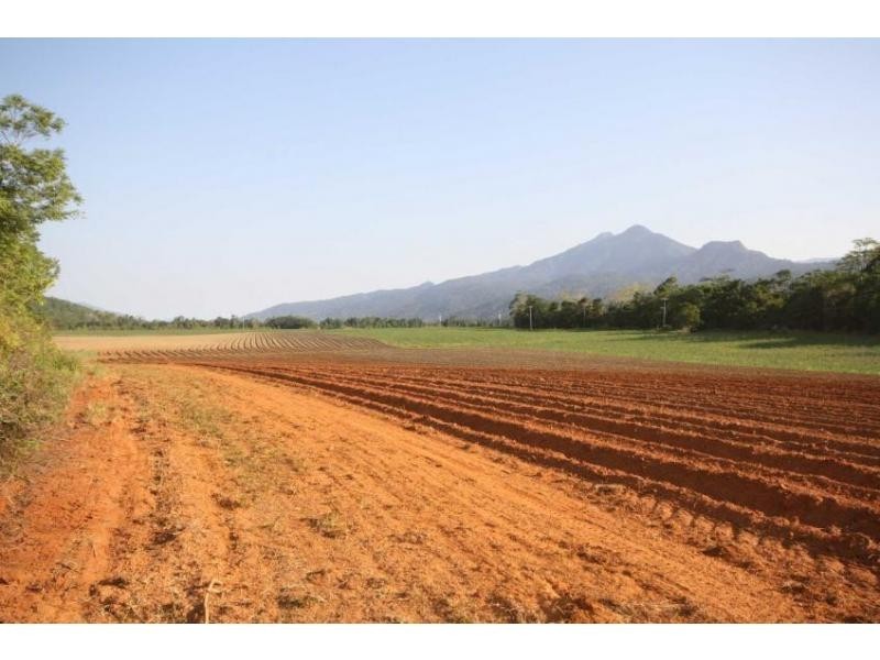 Lot 1 Dalton Road, Aloomba QLD 4871