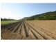 Lot 1 Dalton Road, Aloomba QLD 4871