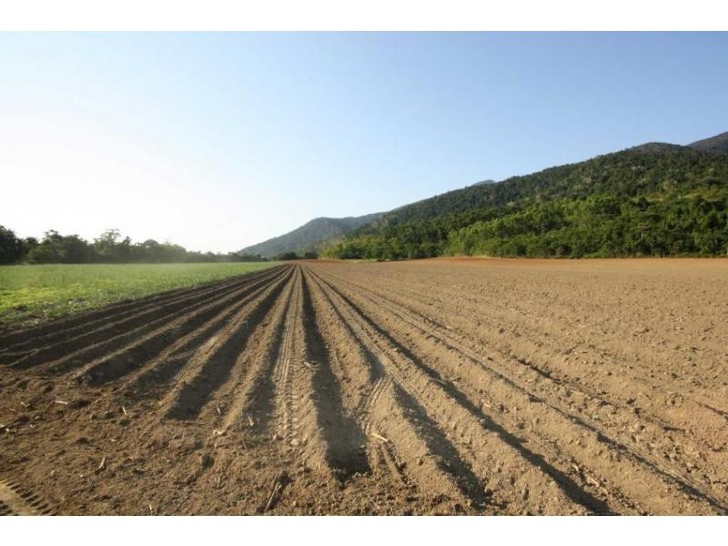 Lot 1 Dalton Road, Aloomba QLD 4871