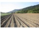 Lot 1 Dalton Road, Aloomba QLD 4871