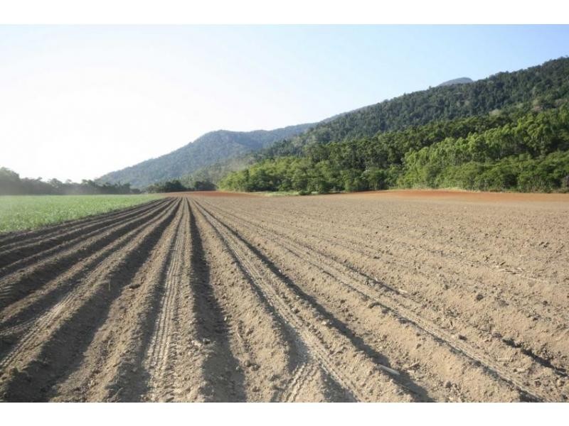 Lot 1 Dalton Road, Aloomba QLD 4871