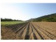 Lot 1 Dalton Road, Aloomba QLD 4871
