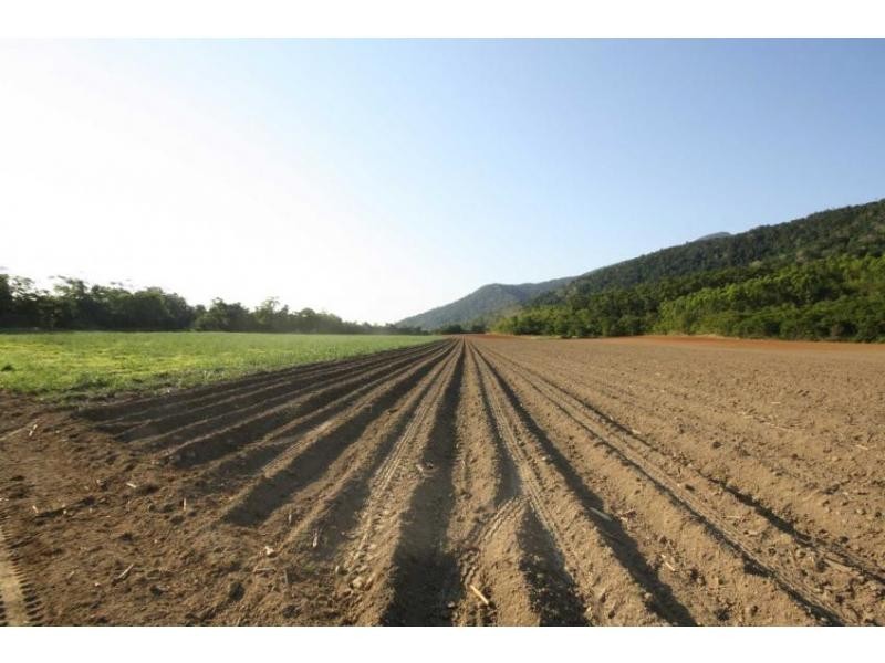 Lot 1 Dalton Road, Aloomba QLD 4871