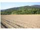 Lot 1 Dalton Road, Aloomba QLD 4871