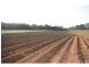 Lot 1 Dalton Road, Aloomba QLD 4871