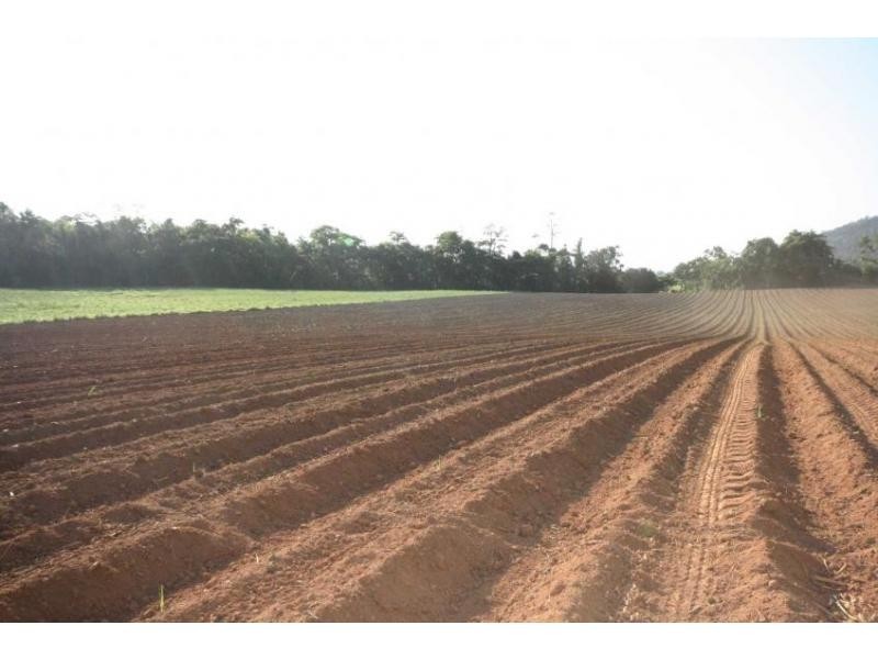 Lot 1 Dalton Road, Aloomba QLD 4871