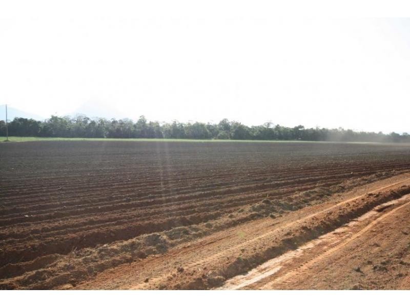 Lot 1 Dalton Road, Aloomba QLD 4871