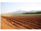 Lot 1 Dalton Road, Aloomba QLD 4871