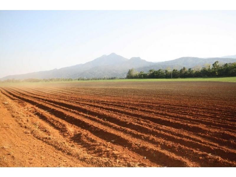 Lot 1 Dalton Road, Aloomba QLD 4871