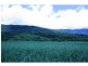 Lot 1 Dalton Road, Aloomba QLD 4871