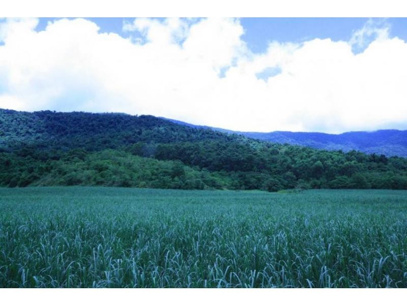 Lot 1 Dalton Road, Aloomba QLD 4871