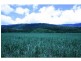 Lot 1 Dalton Road, Aloomba QLD 4871