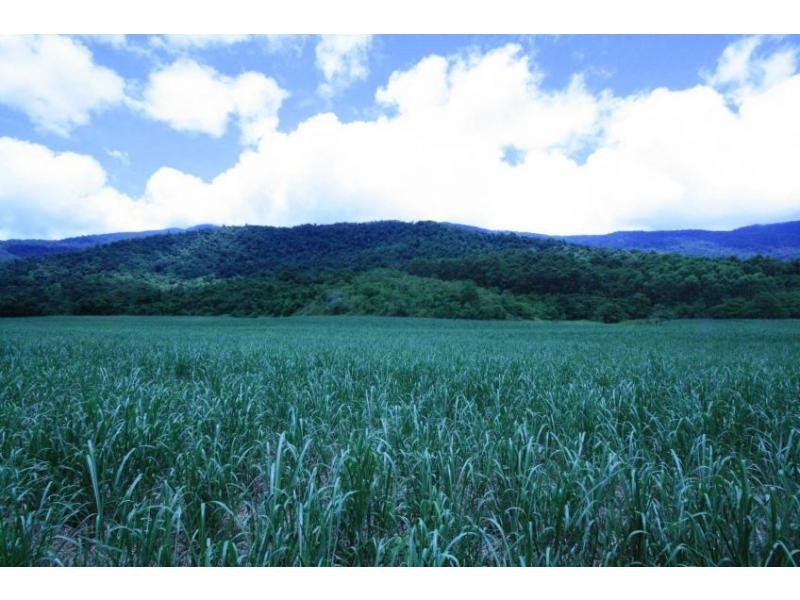 Lot 1 Dalton Road, Aloomba QLD 4871