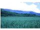 Lot 1 Dalton Road, Aloomba QLD 4871
