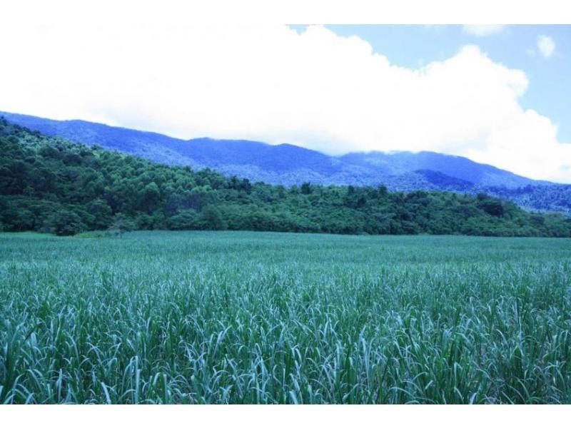 Lot 1 Dalton Road, Aloomba QLD 4871