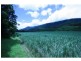 Lot 1 Dalton Road, Aloomba QLD 4871