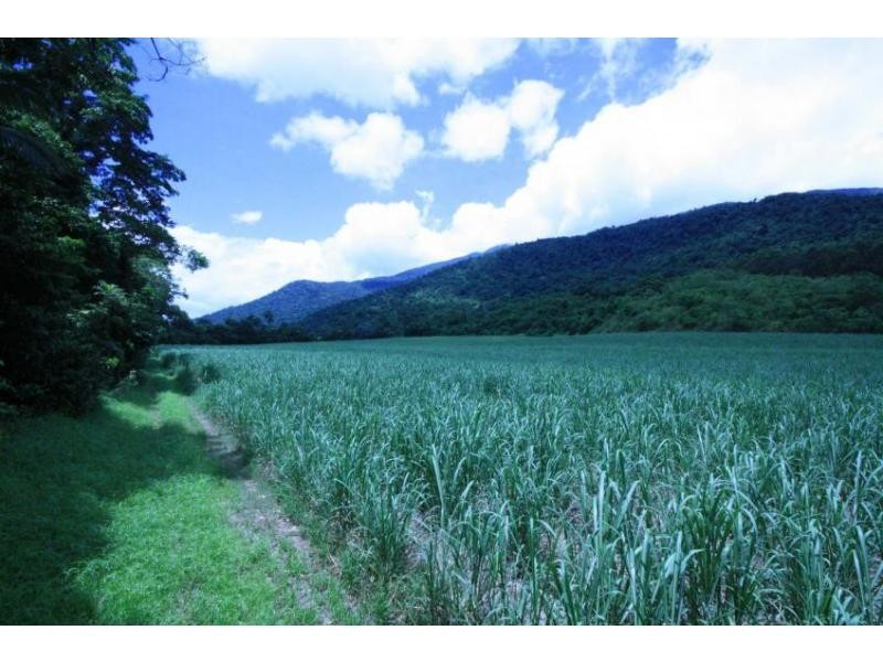 Lot 1 Dalton Road, Aloomba QLD 4871