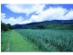 Lot 1 Dalton Road, Aloomba QLD 4871