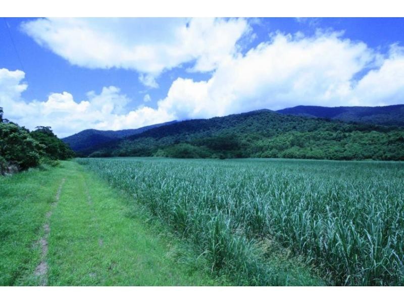 Lot 1 Dalton Road, Aloomba QLD 4871