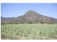 Aloomba QLD 4871