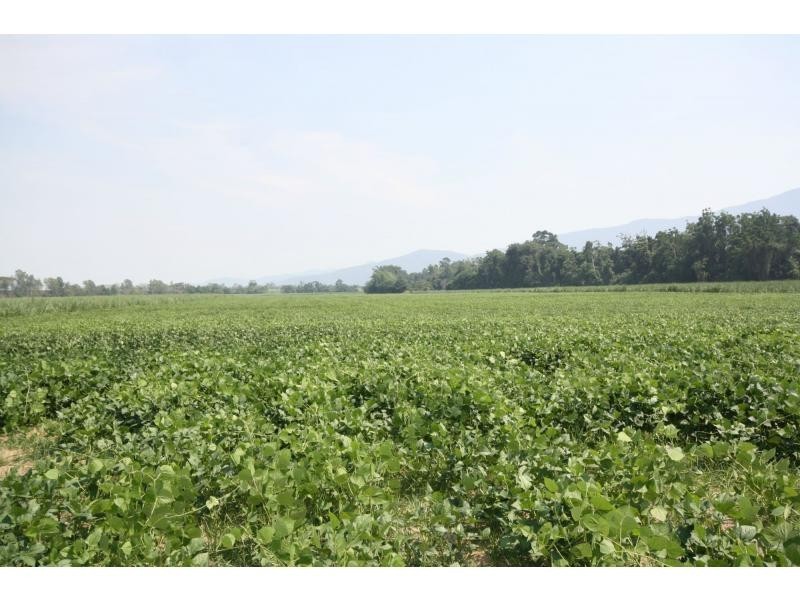 Aloomba QLD 4871
