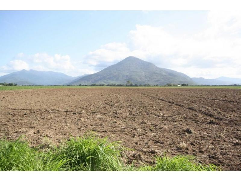 Gordonvale QLD 4865