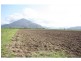 Gordonvale QLD 4865