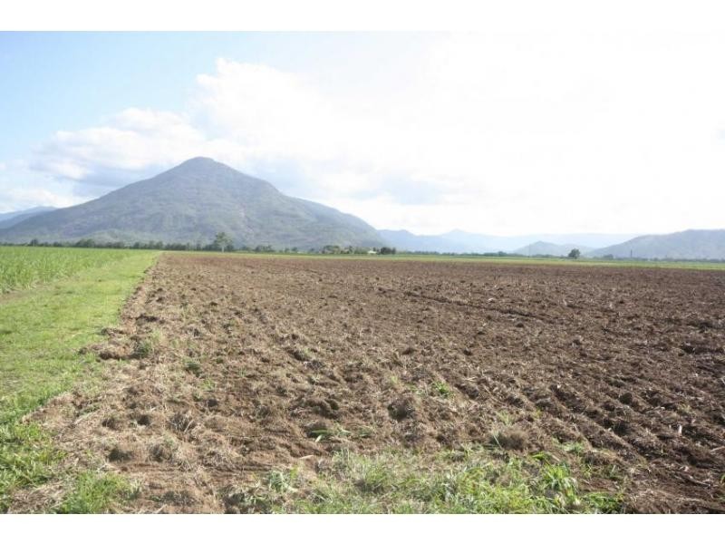 Gordonvale QLD 4865