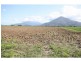 Gordonvale QLD 4865