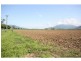 Gordonvale QLD 4865