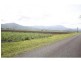 Gordonvale QLD 4865