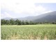 Aloomba QLD 4871