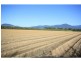 Gordonvale QLD 4865