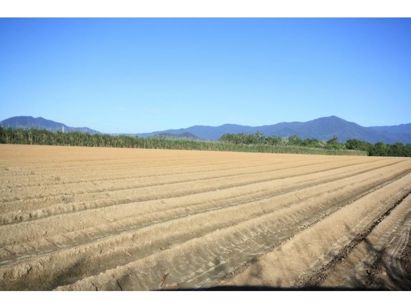 Gordonvale QLD 4865