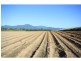 Gordonvale QLD 4865