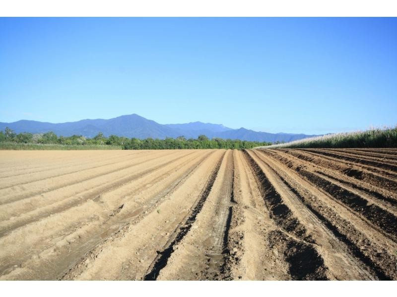 Gordonvale QLD 4865
