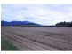 Gordonvale QLD 4865