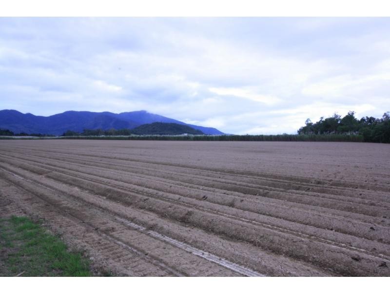 Gordonvale QLD 4865