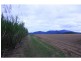 Gordonvale QLD 4865