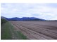 Gordonvale QLD 4865