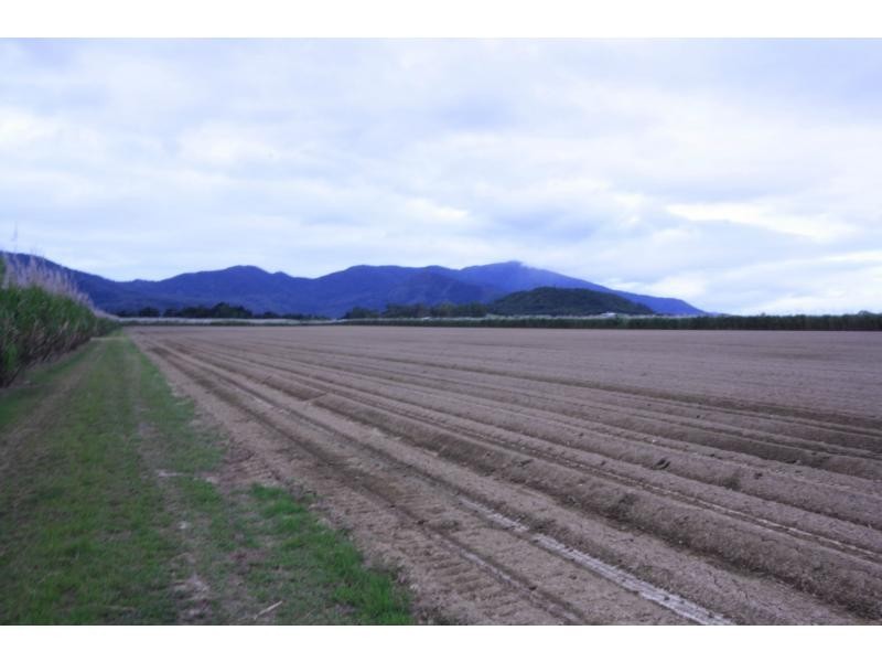 Gordonvale QLD 4865