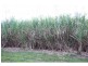 Gordonvale QLD 4865