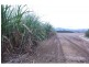 Gordonvale QLD 4865